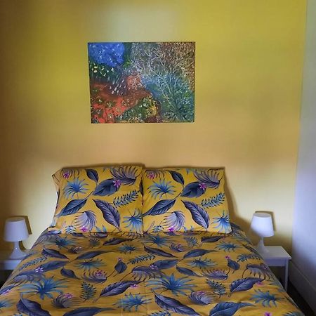 Dans La Creuse Bed & Breakfast Mourioux-Vieilleville Exterior foto