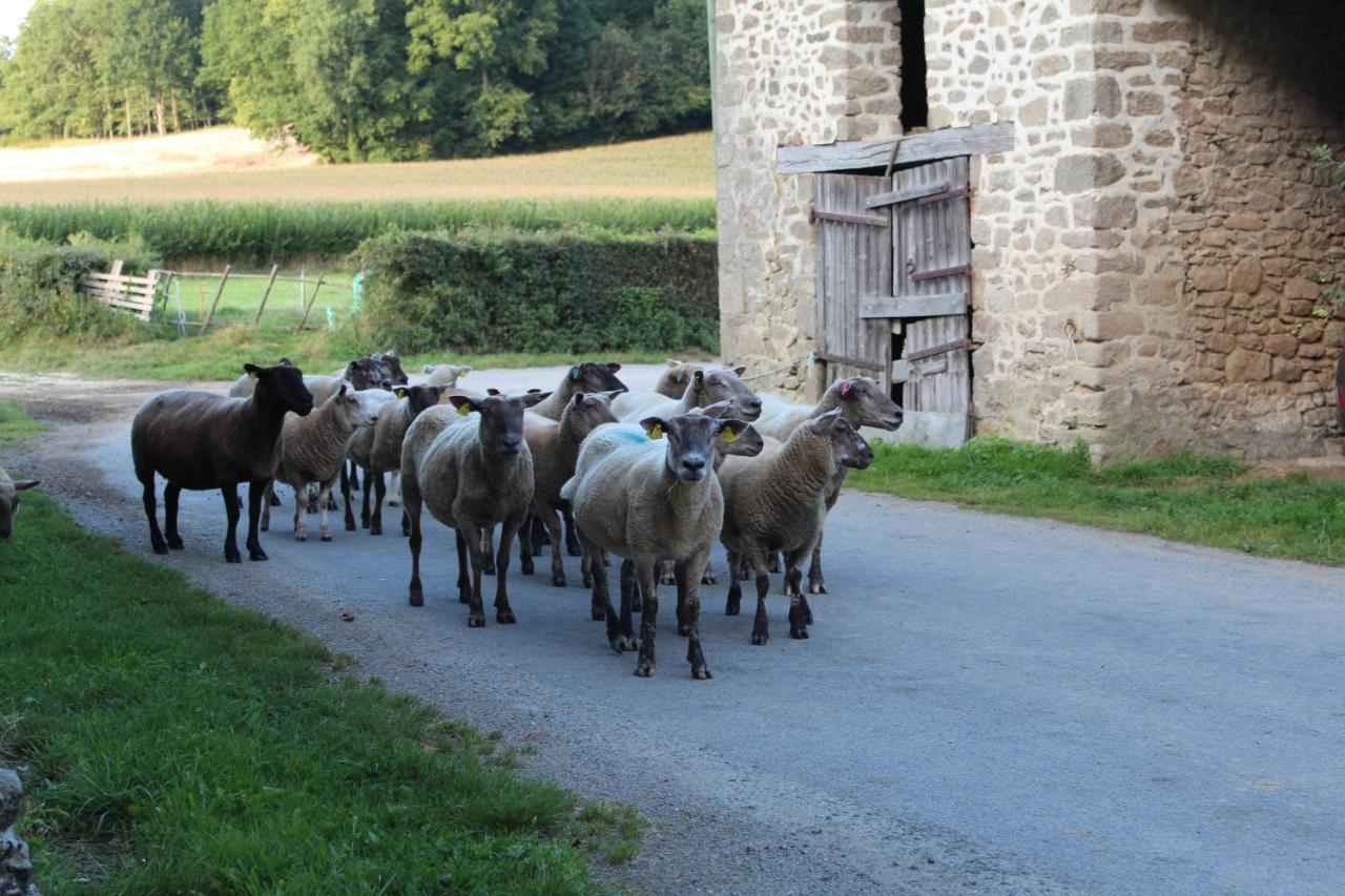 Dans La Creuse Bed & Breakfast Mourioux-Vieilleville Exterior foto