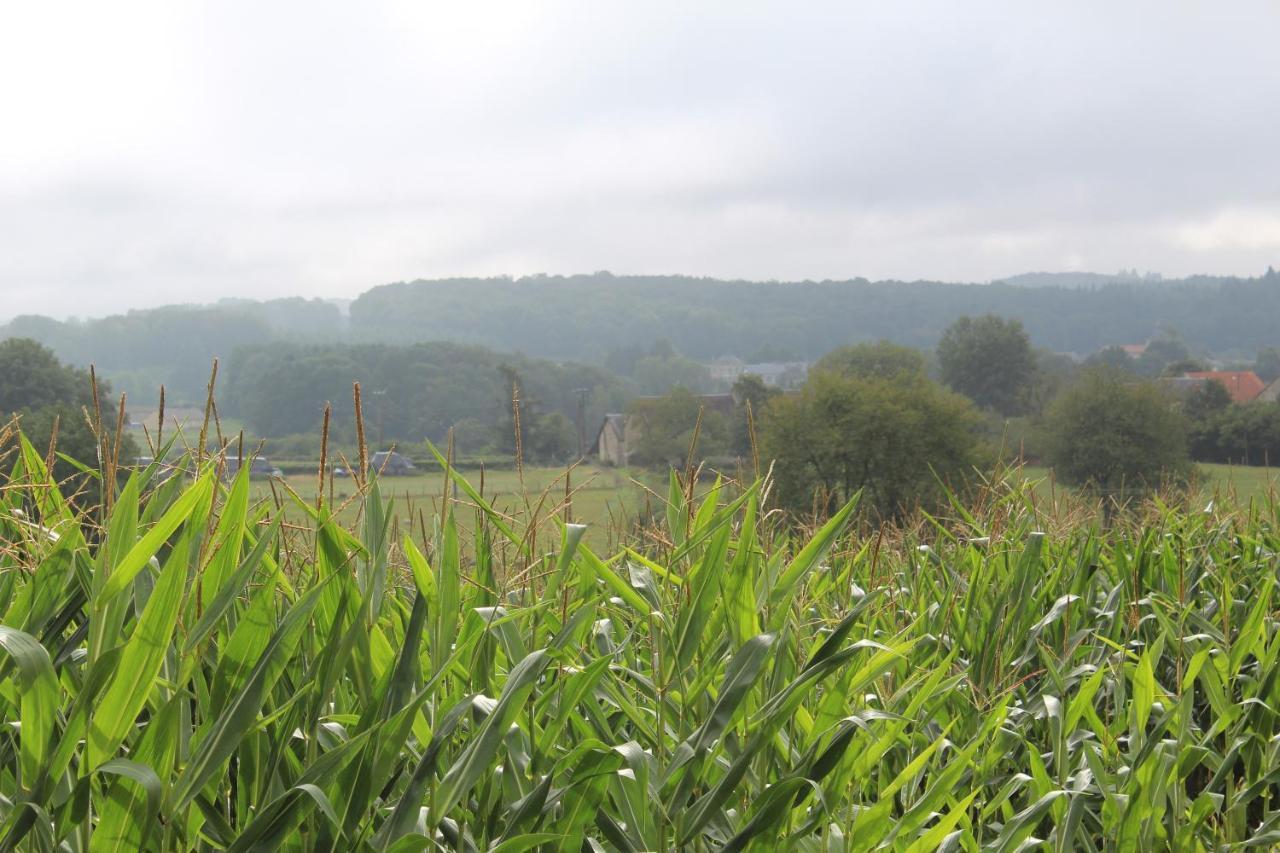 Dans La Creuse Bed & Breakfast Mourioux-Vieilleville Exterior foto
